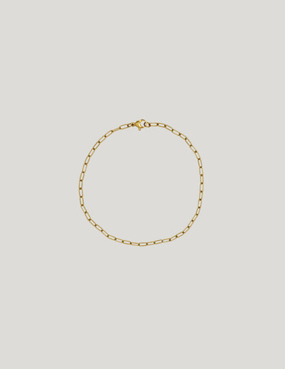 Le mini & La chaîne